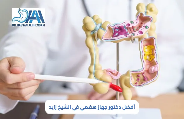 دكتور جهاز هضمي في الشيخ زايد
