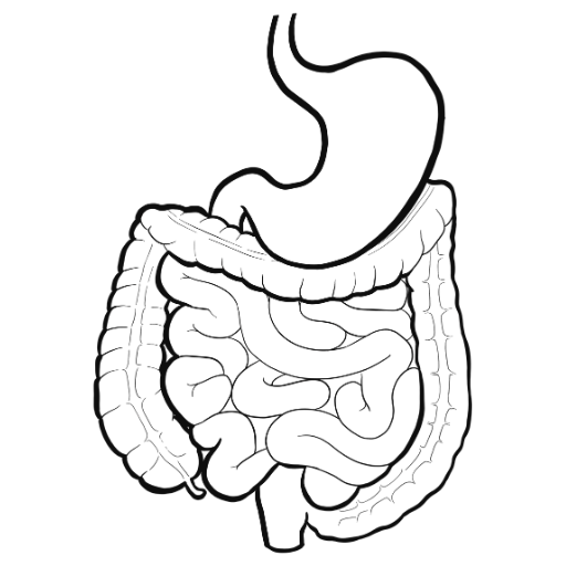 مناظير الجهاز الهضمي